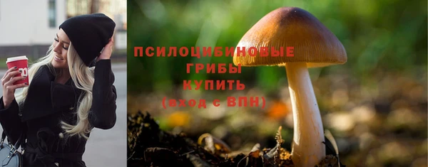 наркотики Алексин